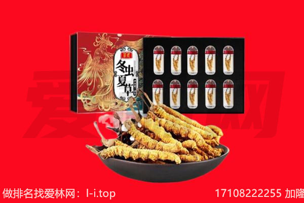 广州番禺区回收虫草.jpg